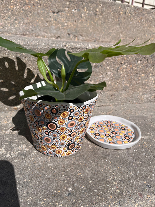 Bubbles:  Alfred large 5 inch planter with drainage
