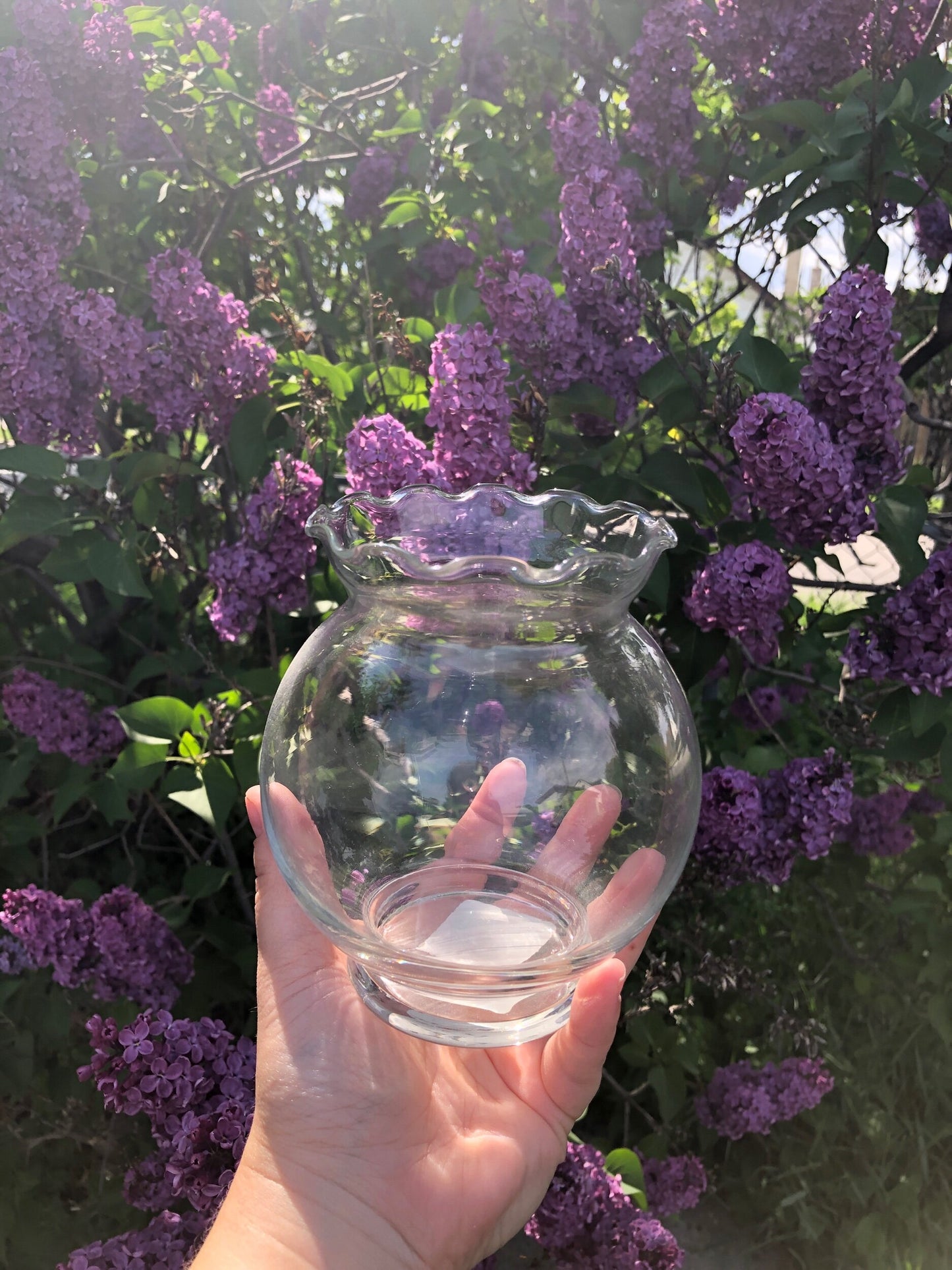 Fishbowl Glass Vase